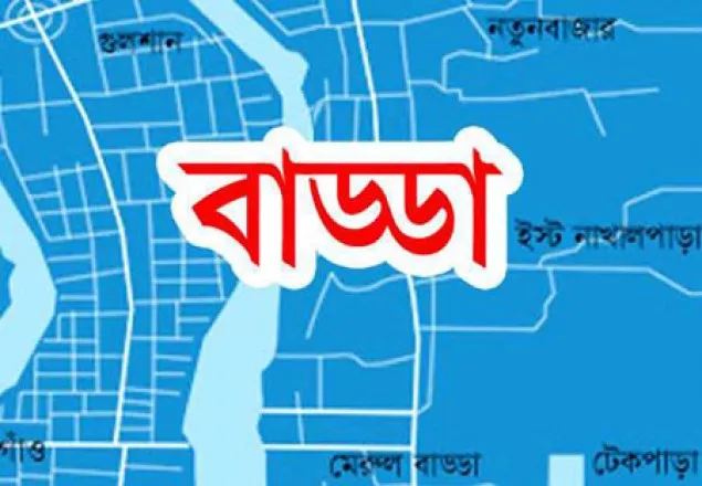 বাড্ডায় অভিযানের সময় দুর্বৃত্তদের হামলায়, ডিবি কর্মকর্তা আহত