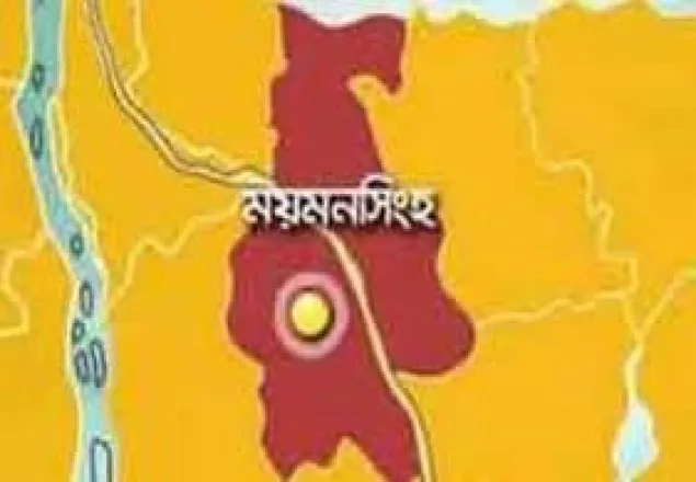 ময়মনসিংহে শিশু নির্যাতনের ঘটনায় আটক ৩
