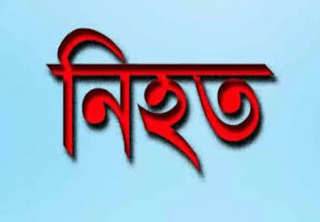 নীলফামারীতে বিদ্যুৎস্পৃষ্টে নিহত ১