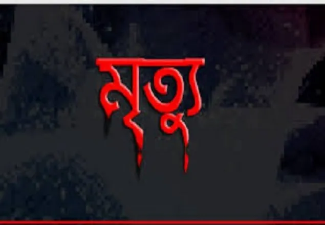 প্রধানমন্ত্রীর কার্যালয়ের সামনে অটোরিকশার ধাক্কায় নিহত ১
