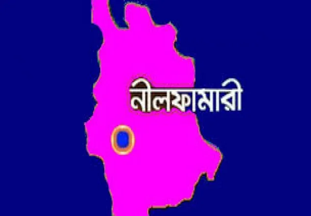 অটোরিকশার ধাক্কায় শিশুর  মৃত্যু