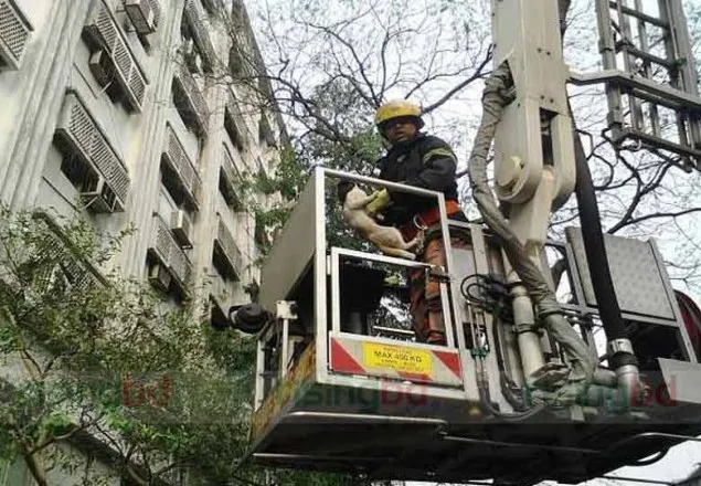 বিড়াল নিয়ে সচিবালয়ে তোলপাড়