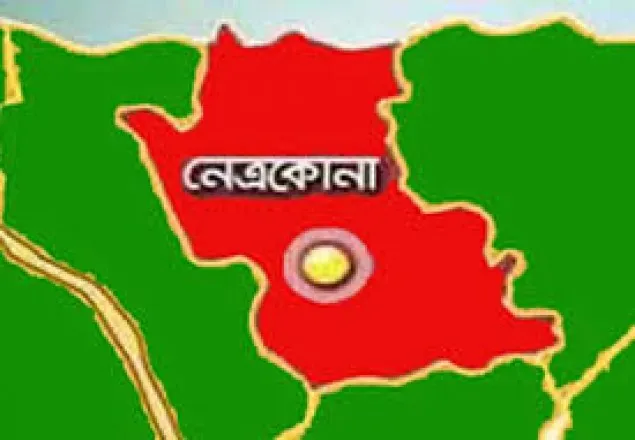 নেত্রকোনায় অটোরিকশা চাপায় শিশুর মৃত্যু