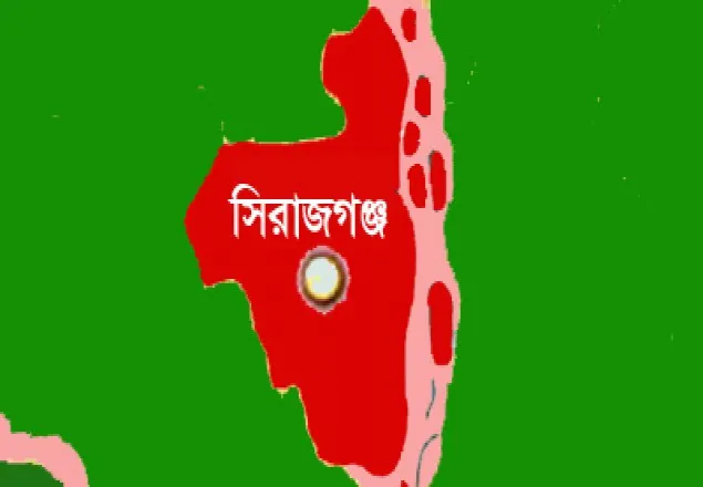 তাড়াশে বড় ভাইয়ের হাতে ছোট ভাই নিহত