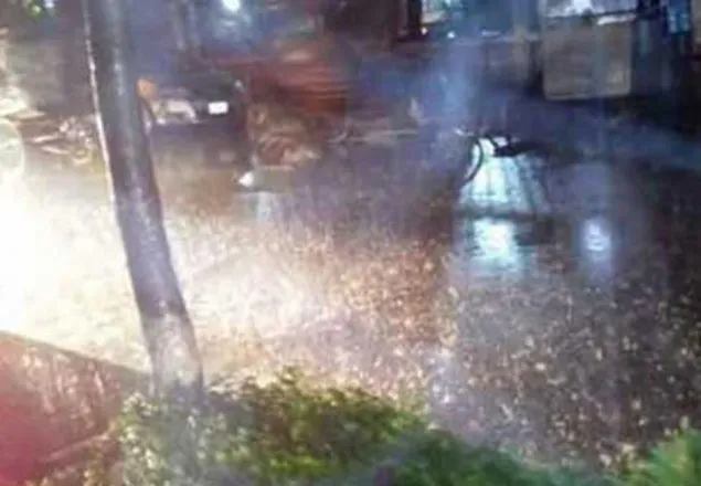রাজধানীতে ঝড়ে ৬ জন আহত