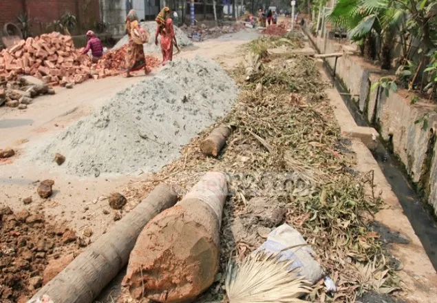 সড়ক সংস্কারের নামে নির্বিচারে গাছ কাটার অভিযোগ