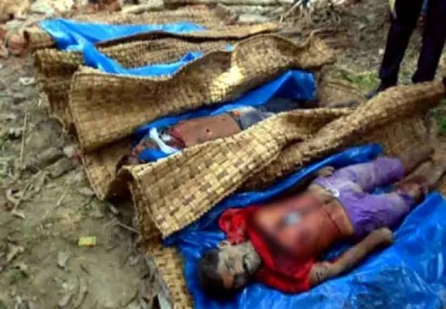 সুন্দরবনে ‘বন্দুকযুদ্ধে’ ৪ বনদস্যু নিহত 