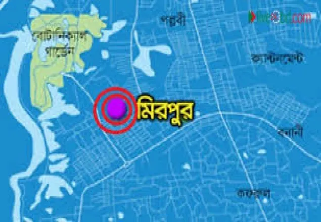মিরপুরে গণপিটুনির শিকার আওয়ামী লীগ নেতা