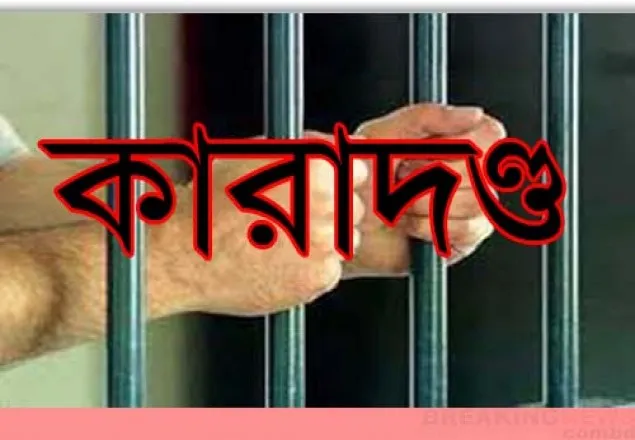 ব্রাহ্মণবাড়িয়ায় ছাত্রীকে উত্ত্যক্ত করায় যুবকের কারাদণ্ড