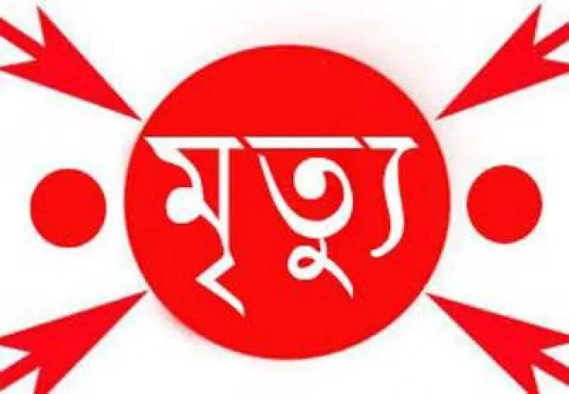 রাজধানীর লালবাগে বিদ্যুৎস্পৃষ্টে স্কুলছাত্রের মৃত্যু
