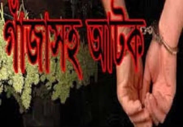 সুন্দরগঞ্জে গাঁজা ব্যবসায়ী গ্রেফতার