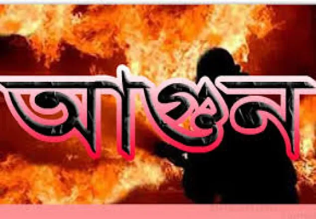 ফরিদপুরে  অগ্নিকাণ্ডে নিহত ১