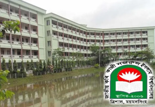 নজরুল বিশ্ববিদ্যালয়ের প্রকৌশলীর দাফন সম্পন্ন