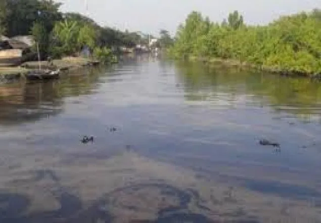 আবারও জাহাজবোঝাই কয়লার চাপে সুন্দরবনের শ্যালা নদী