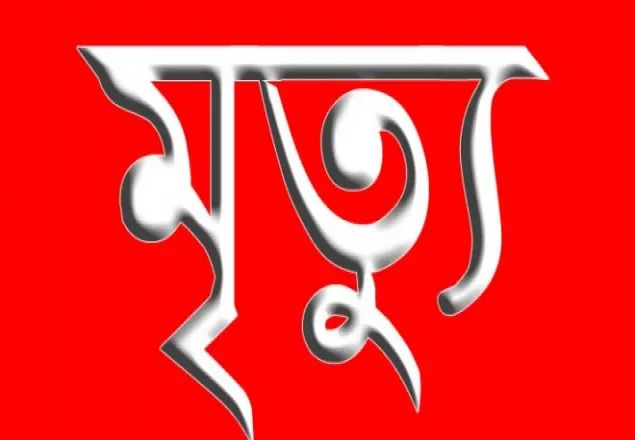 বিদ্যুৎস্পৃষ্ট হয়ে যুবলীগ নেতার মৃত্যু