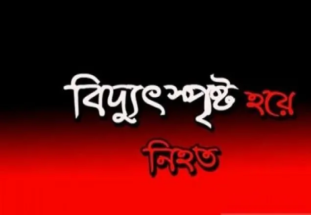 সুন্দরগঞ্জে বিদ্যুৎ স্পৃষ্ট হয়ে কৃষকের মৃত্যু