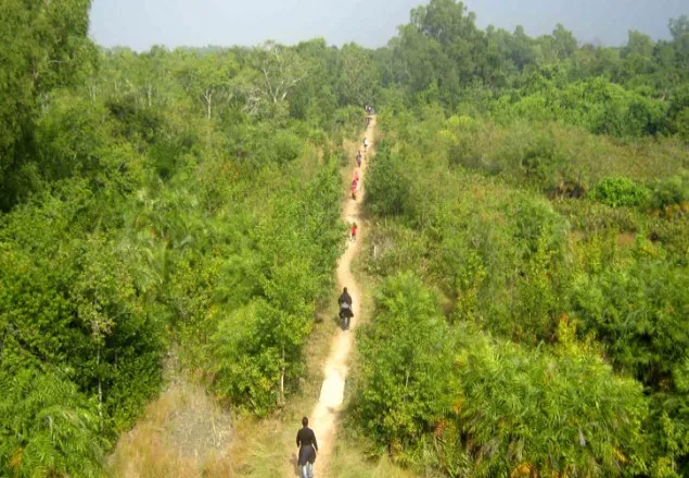 আজ বিশ্ব বন দিবস,বন বাঁচলে পরিবেশ বাঁচবে 