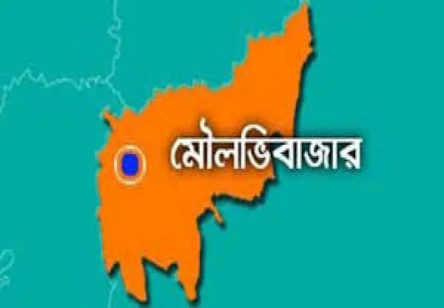 মৌলভীবাজারে বজ্রপাতে নারীর মৃত্যু