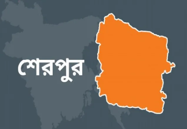 শেরপুরে কেন্দ্র দখল নিয়ে সংঘর্ষ, আহত ৪