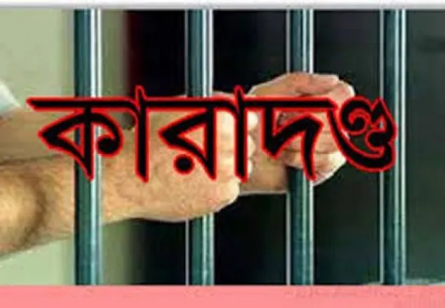 সাদুল্যাপুরে মাদকাসক্ত যুবকের কারাদন্ড