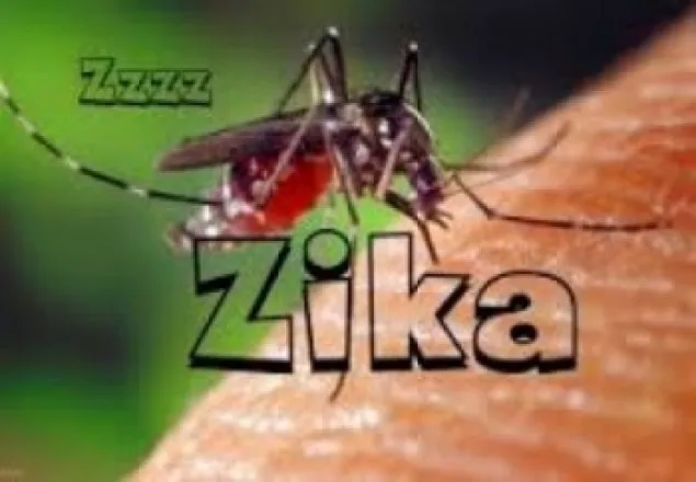 দেশে প্রথমবারের মতো জিকা ভাইরাস শনাক্ত