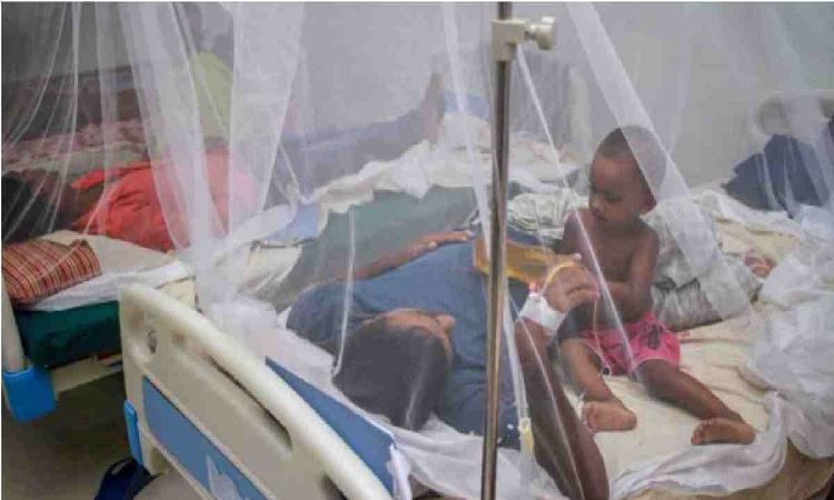Dengue fever:70 more patients hospitalised in 24 hrs