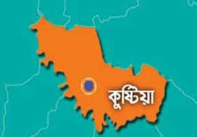 কুষ্টিয়ায় নৌকা প্রার্থীর ক্যাডারদের হামলা, আহত ১০