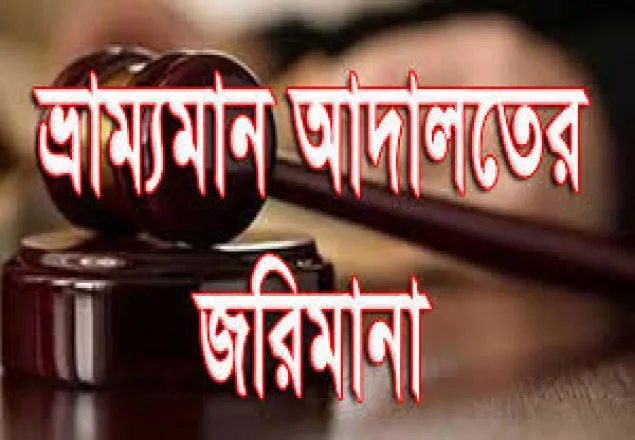 সদরঘাটে লবণ প্রস্তুতকারী তিন প্রতিষ্ঠানকে জরিমানা