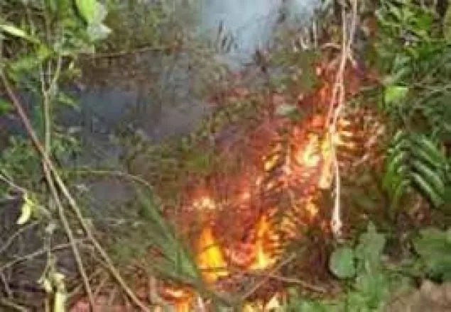 আগুনে জ্বলছে সুন্দরবনের ফরেস্ট ক্যাম্প এলাকা 