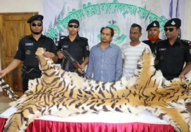 খুলনায় বাঘের চামড়াসহ দু'জন গ্রেপ্তার