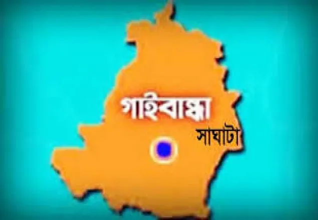 সাঘাটায় মন্দির প্রতিমা ভাংচুর, আটক অপরাধীর মা