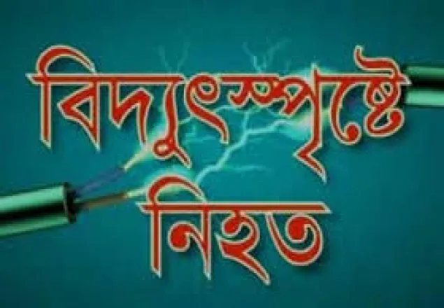 সাতকানিয়ায় বিদ্যুৎস্পৃষ্টে নিহত ১