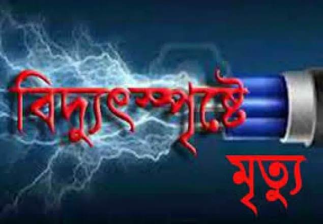 কালীগঞ্জে বিদ্যুৎ স্পৃষ্ট হয়ে পিতা-পুত্রের মর্মান্তিক মৃত্যু 