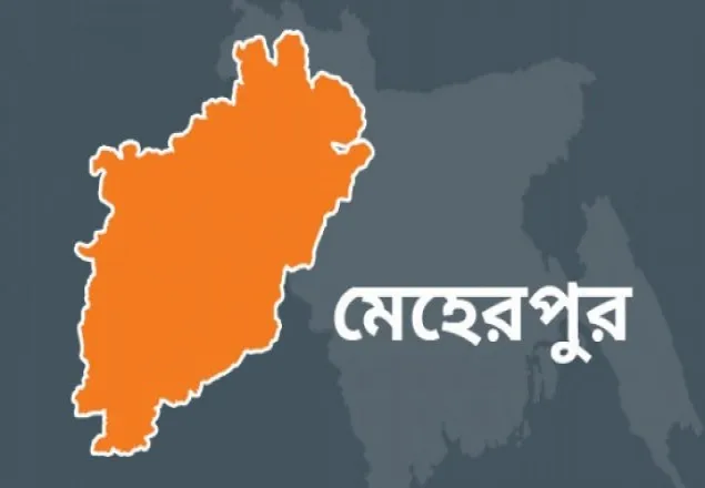 মেহেরপুরে জালভোট দিতে গিয়ে আটক ১