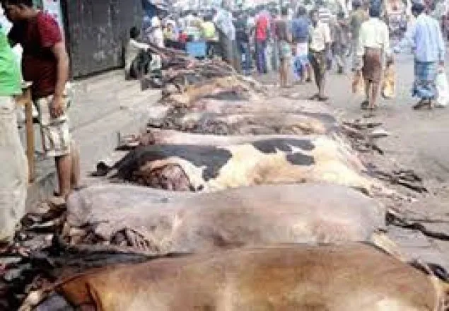 আজ থেকে কাঁচা চামড়া ঢুকবে না হাজারীবাগে
