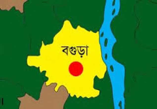 বগুড়ায় গাছ চাপায় নিহত ১