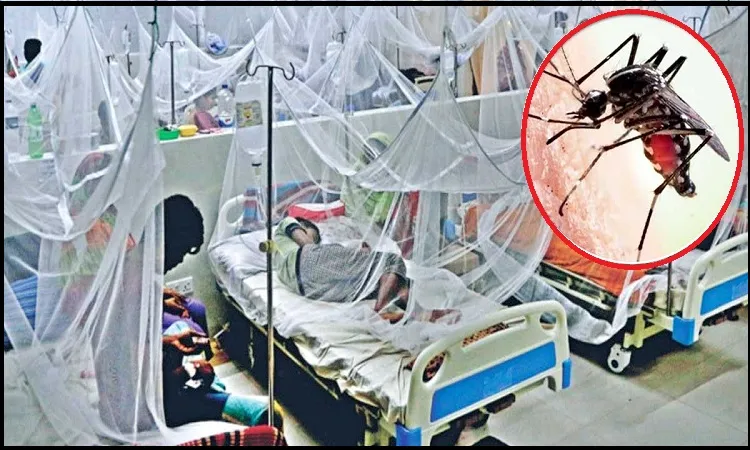 ডেঙ্গু আক্রান্তের সংখ্যা ছাড়িয়েছে ৮ হাজার