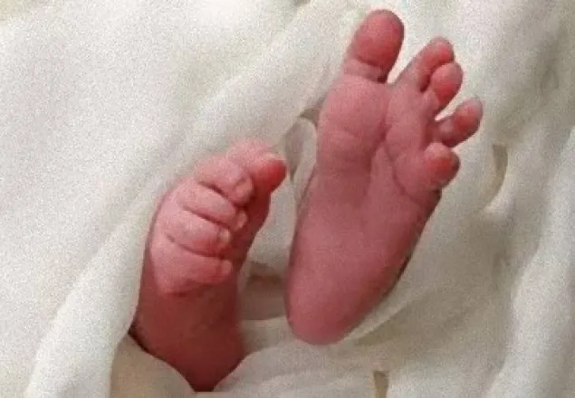 পলাশবাড়ীতে কচুখেত থেকে মৃত শিশুকন্যা উদ্ধার