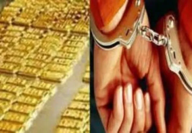২৫টি স্বর্ণের বারসহ আটক ১
