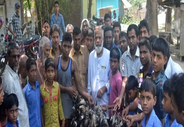 যশোরে ঝড়ে সহস্রাধিক পাখির মৃত্যু