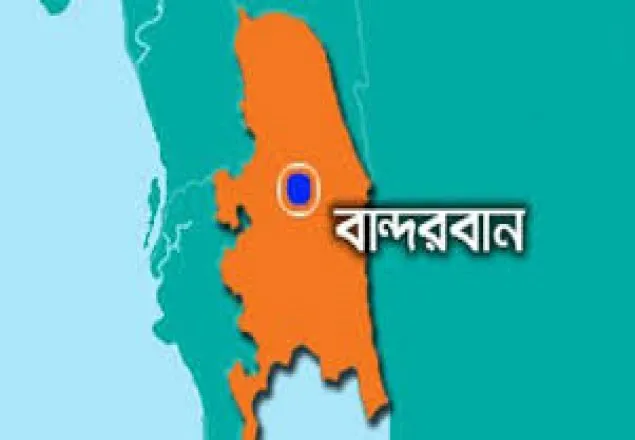 বান্দরবনে হাতির আক্রমণে ১ জনের মৃত্যু