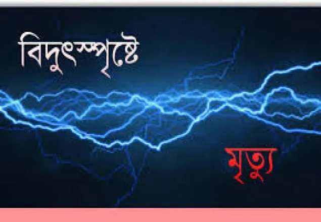 মিঠাপুকুরে বিদ্যুৎস্পৃষ্টে ২ শিশুর মৃত্যু