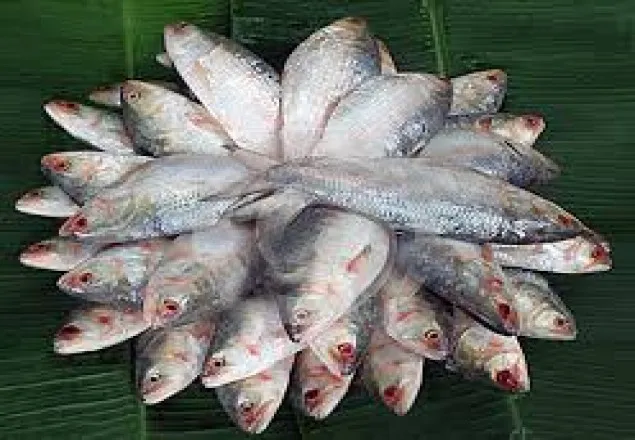 ইলিশ ছাড়াই বৈশাখ উদযাপন