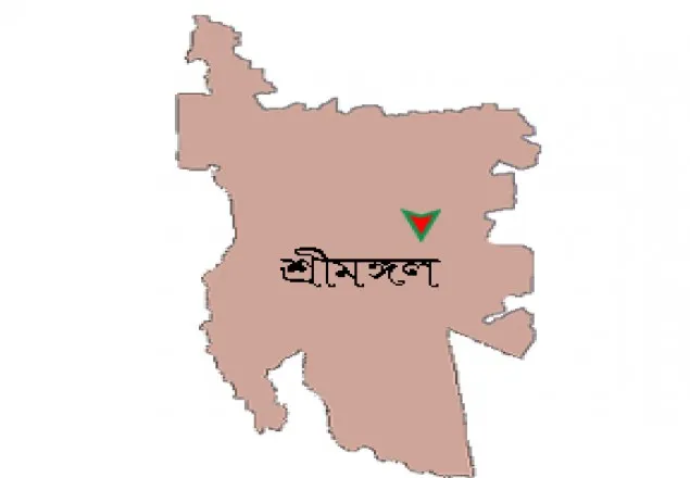 শ্রীমঙ্গলে পাচারকালে চাপালিশ গাছ আটক