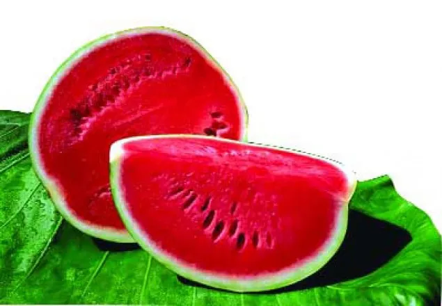 টাঙ্গাইলে তরমুজ খেয়ে শিশুর মৃত্যু, অসুস্থ ৫