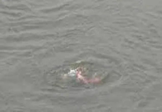 পানিতে ডুবে মা-ছেলের মৃত্যু