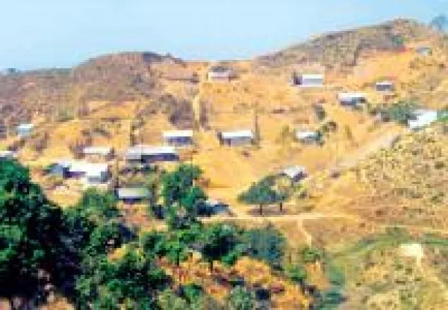 কক্সবাজারে কিছুতেই পাহাড় কাটা বন্ধ হচ্ছে না!