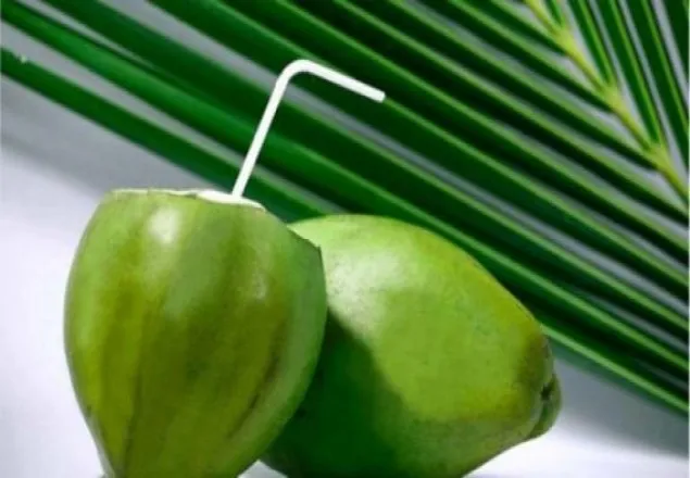 গরমে ত্বকের যত্নে ডাবের জুড়ি নেই