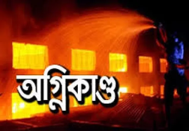রাজধানীর পল্লবীতে গ্যাসের আগুনে গৃহবধূ দগ্ধ