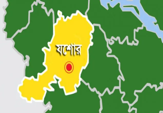 যশোরে প্রচণ্ড গড়মে সাড়ে ৩০০ মুরগির মৃত্যু